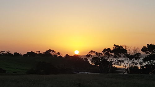Silhouette trees against sky during sunset