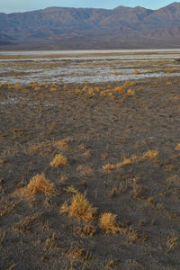 Scenic view of desert against sky