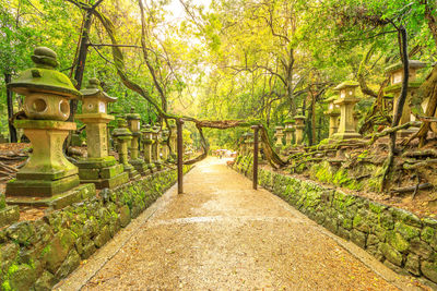 Footpath amidst trees in park