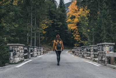 Rear view of woman walking on empty road through idyllic moody forest in autumn.