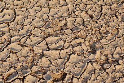 Full frame shot of cracked land