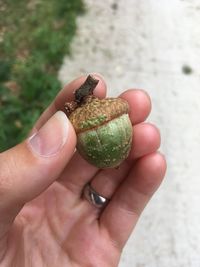 Close-up of hand holding fruit