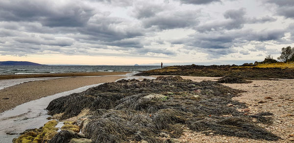 Scenic view of beach against sky