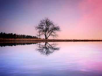 Bare tree by lake against romantic sky at sunset