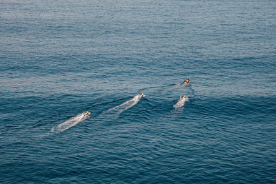 High angle view of people in sea