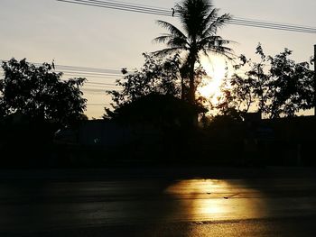 Close-up of wet silhouette trees against sky during sunset