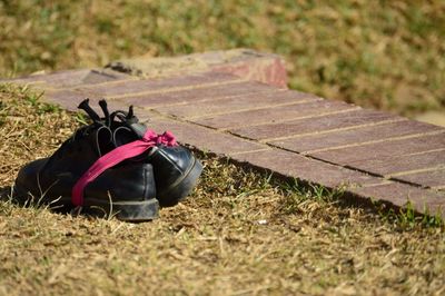 View of grassy field