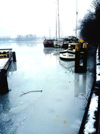 Boats in harbor