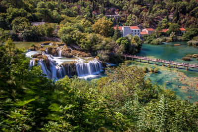 Scenic view of waterfall in forest