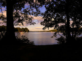 Silhouette of trees at sunset