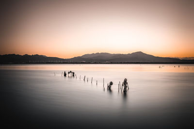 Idyllic scene of a traditional fishing spot at stagno santa gilla near cagliari, sardinia, italy