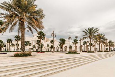 Palm trees on beach against sky