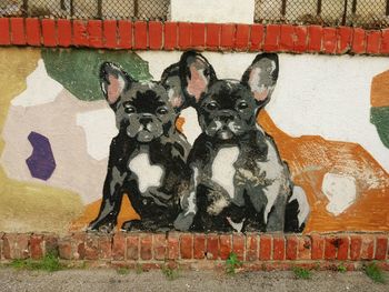 Portrait of dog against graffiti wall