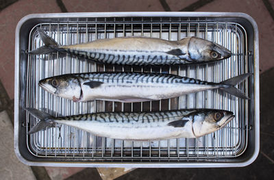 Close-up of fish for sale