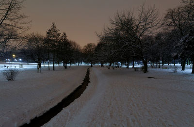 Trees on snow covered field during winter