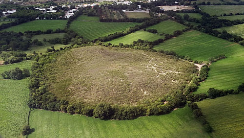 High angle view of rice field