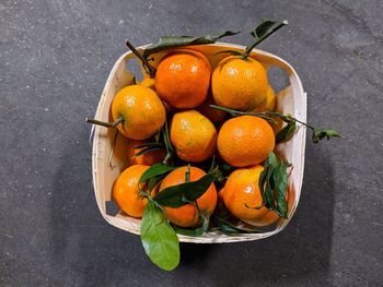 High angle view of orange fruits in bowl