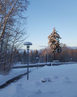 Trees on snow covered field against sky