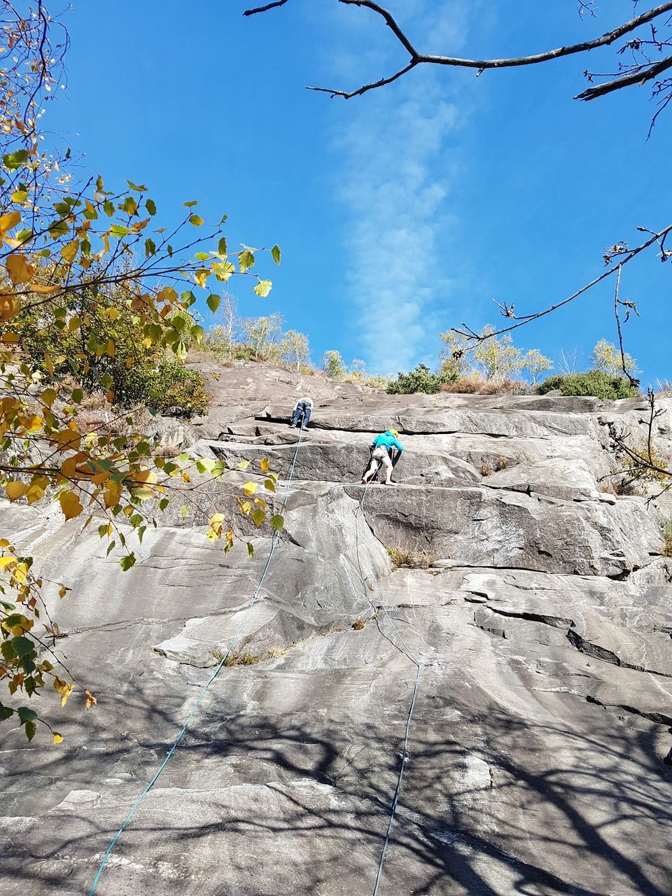 real people, tree, sky, plant, nature, day, lifestyles, rock - object, rock, men, leisure activity, beauty in nature, solid, blue, people, two people, outdoors, non-urban scene, rock formation, full length