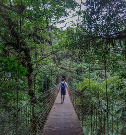 Rear view of person walking on footbridge in forest