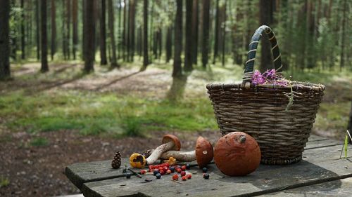 Mushrooms with strawberries and blueberries by wicker basket on table at forest