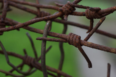 Close-up of rusty barbed wire