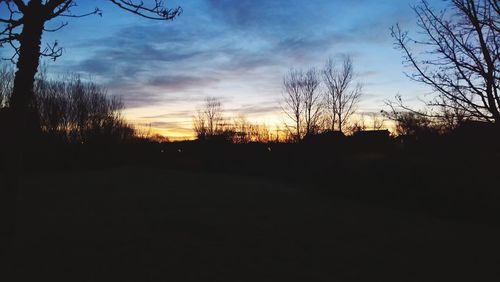 Silhouette of trees at sunset