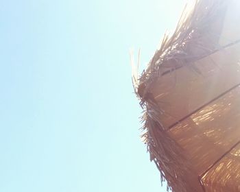 View of tree against clear sky