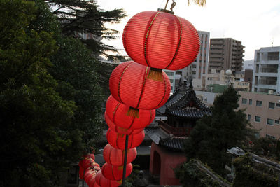 Red lanterns hanging amidst trees and buildings