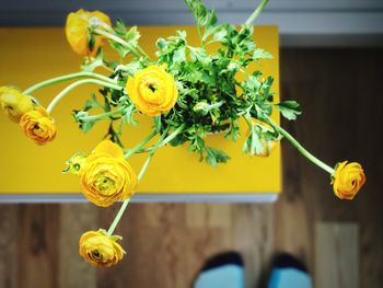 Close-up of yellow flowers against blurred background