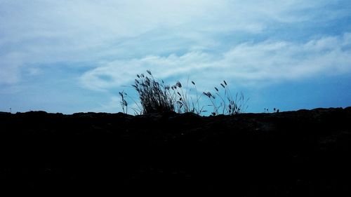 Silhouette trees on landscape against sky