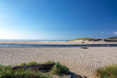Scenic view of beach against blue sky