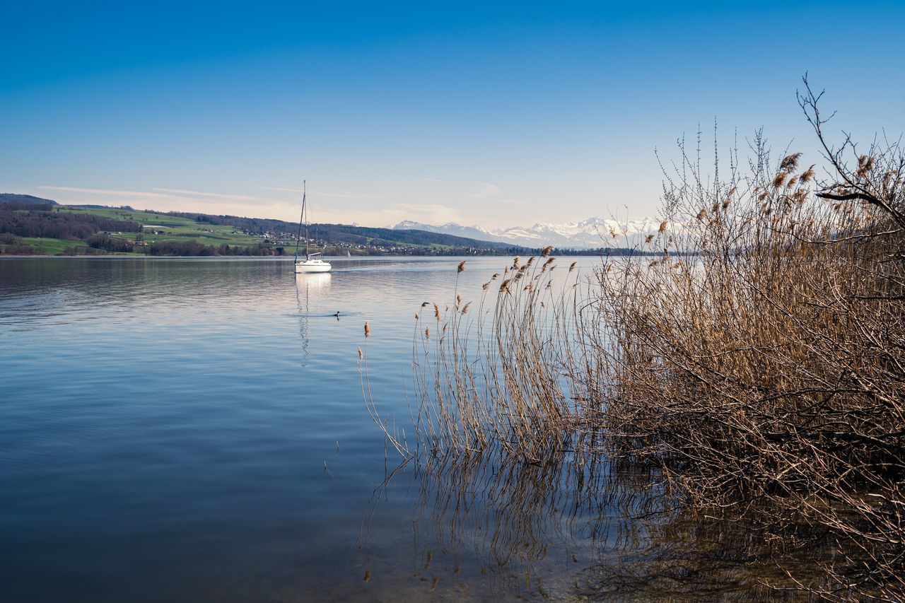 SAILBOATS IN LAKE AGAINST SKY