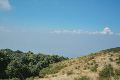 Scenic view of landscape against blue sky