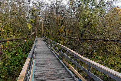 View of footbridge in forest