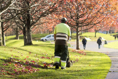 Rear view of people walking in park