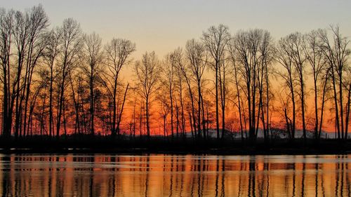 Silhouette bare trees by lake against sky at sunset