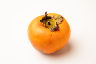 Close-up of orange on white background