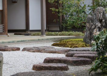 Stepping stones in park