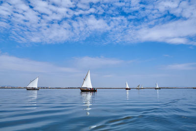 Boats with latin sail in the albufera de valencia, spain