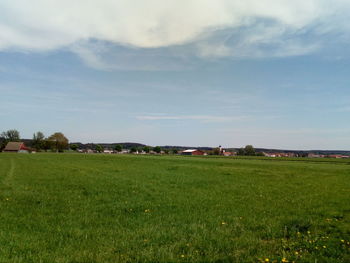 Scenic view of field against sky