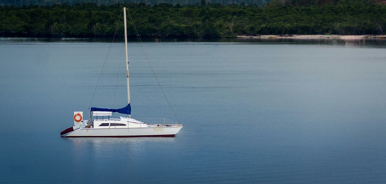 nautical vessel, transportation, boat, water, mode of transport, waterfront, tree, moored, tranquility, lake, nature, tranquil scene, travel, sailing, reflection, beauty in nature, scenics, day, river, sailboat