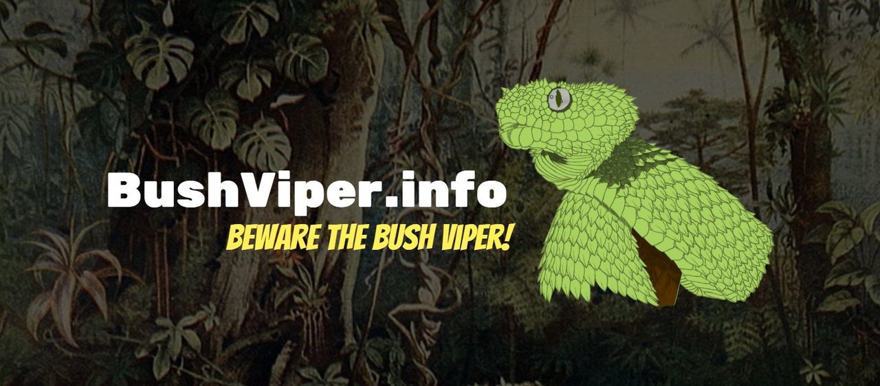 Bush viper