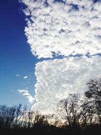 Low angle view of silhouette trees against sky