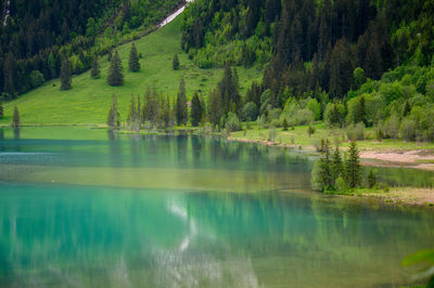 Scenic view of lake and trees in forest