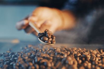 Close-up of hand holding coffee beans