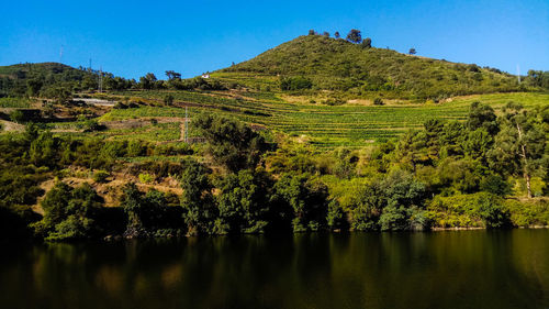 Scenic view of agricultural landscape against clear sky