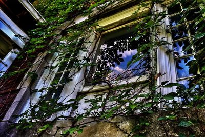 Low angle view of building against sky