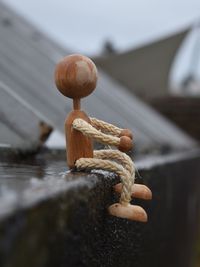 Close-up of mushrooms on wood