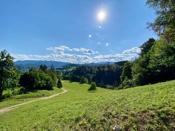 Scenic view of field against sky
